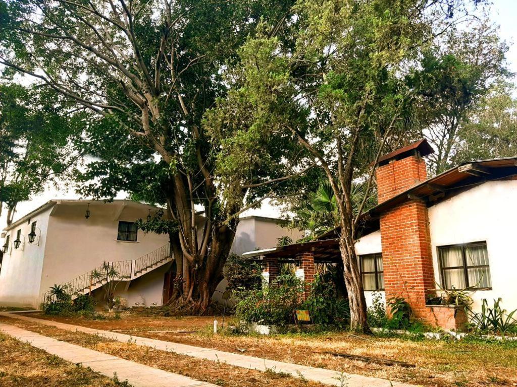 Hotel Del Bosque Panajachel Exterior photo